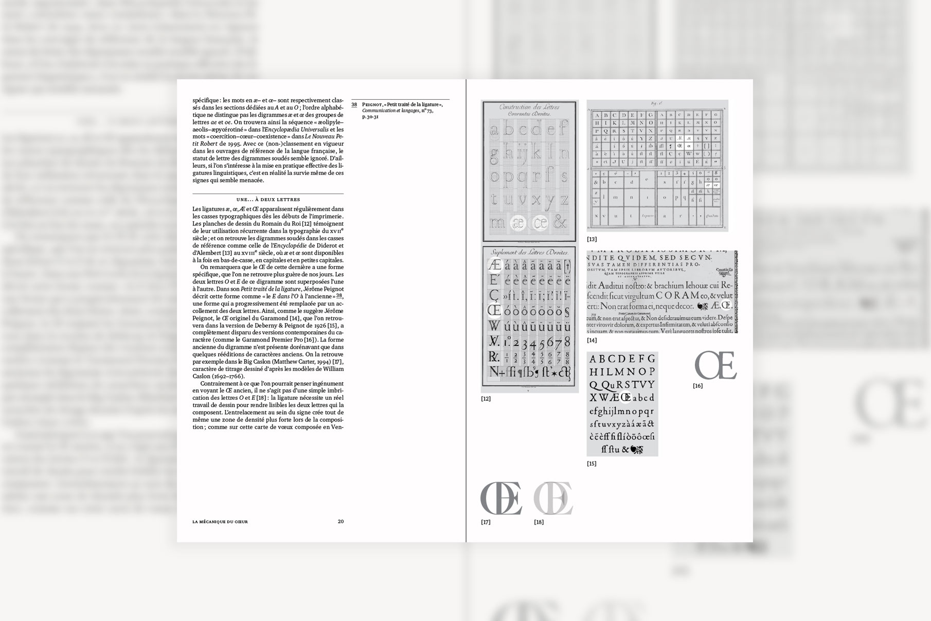 Fous à lier : une étude des ligatures typographiques — extrait 1