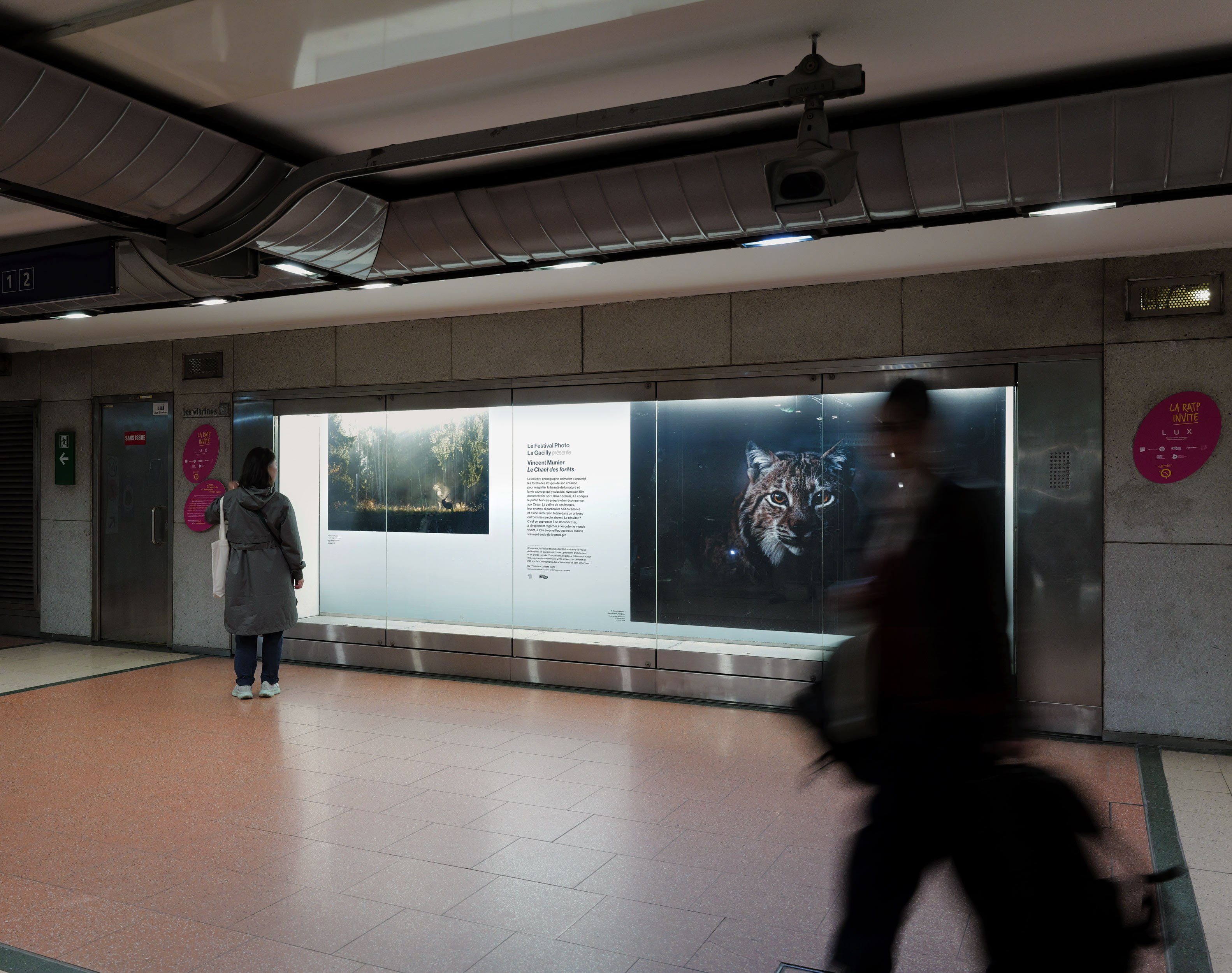 Fresques pour le partenariat Réseau LUX x RATP : Vincent Munier présenté par le Festival photo La Gacilly.