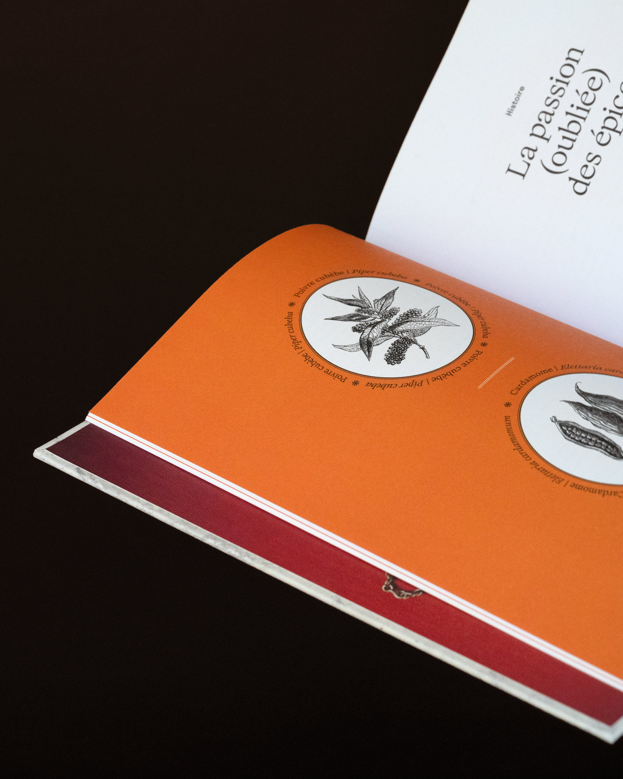 Cartouches illustrés du livre Un monde d’épices