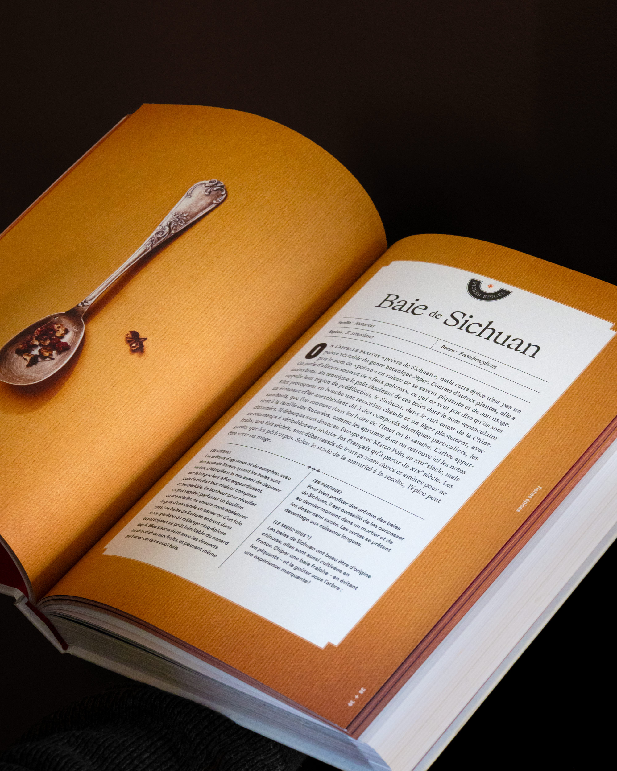 Fiche épice extraite du livre Un monde d’épices