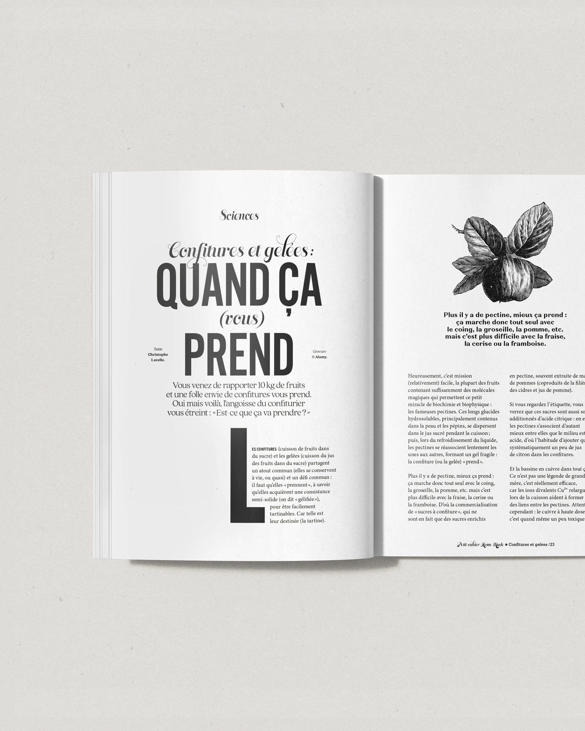 Article des Petits Cahiers 180 °C Home-made