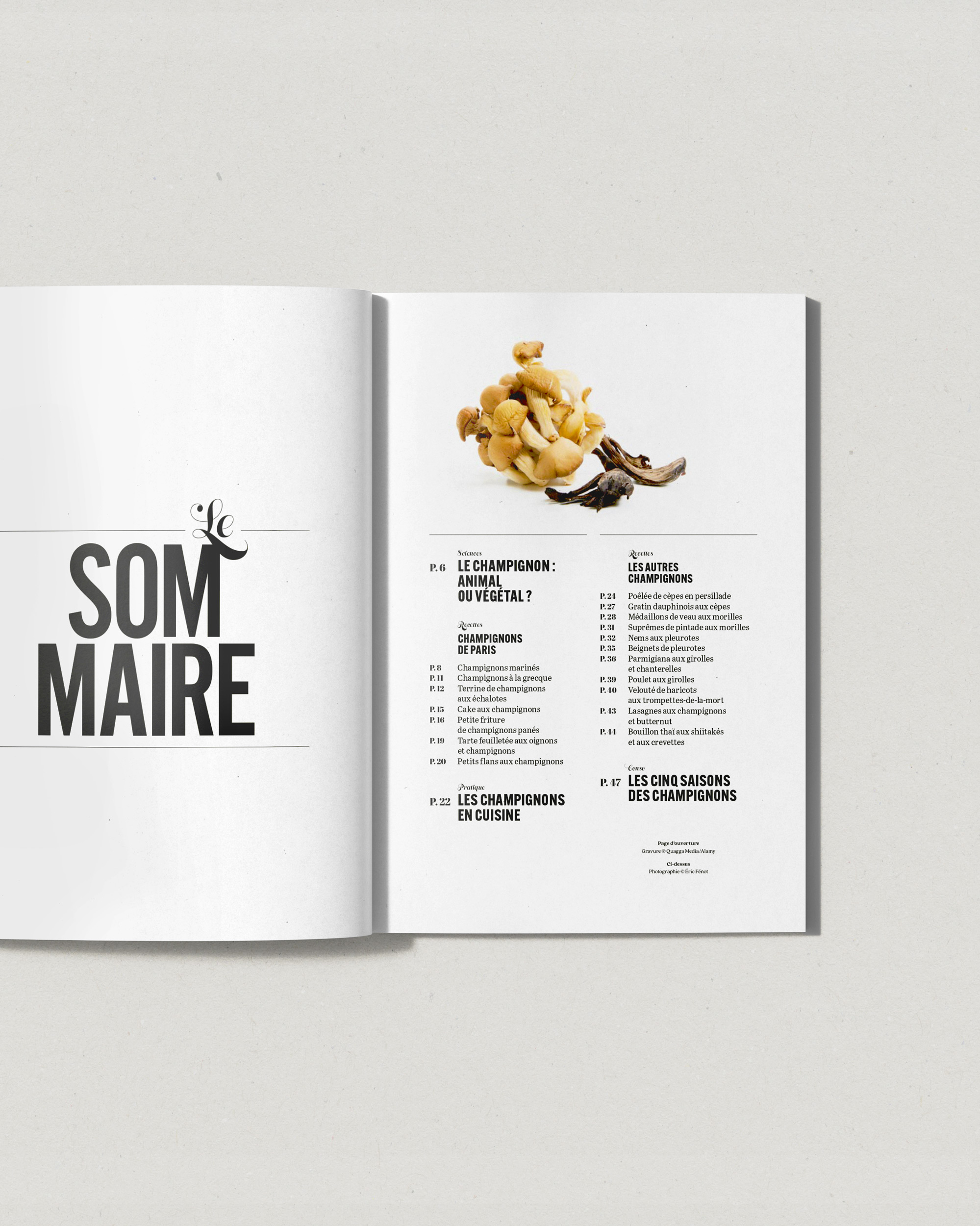 Pages des Petits Cahiers 180 °C