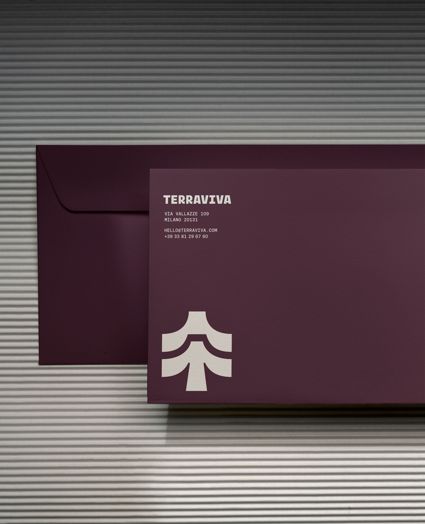 Enveloppe avec l’identité visuelle pour TerraViva