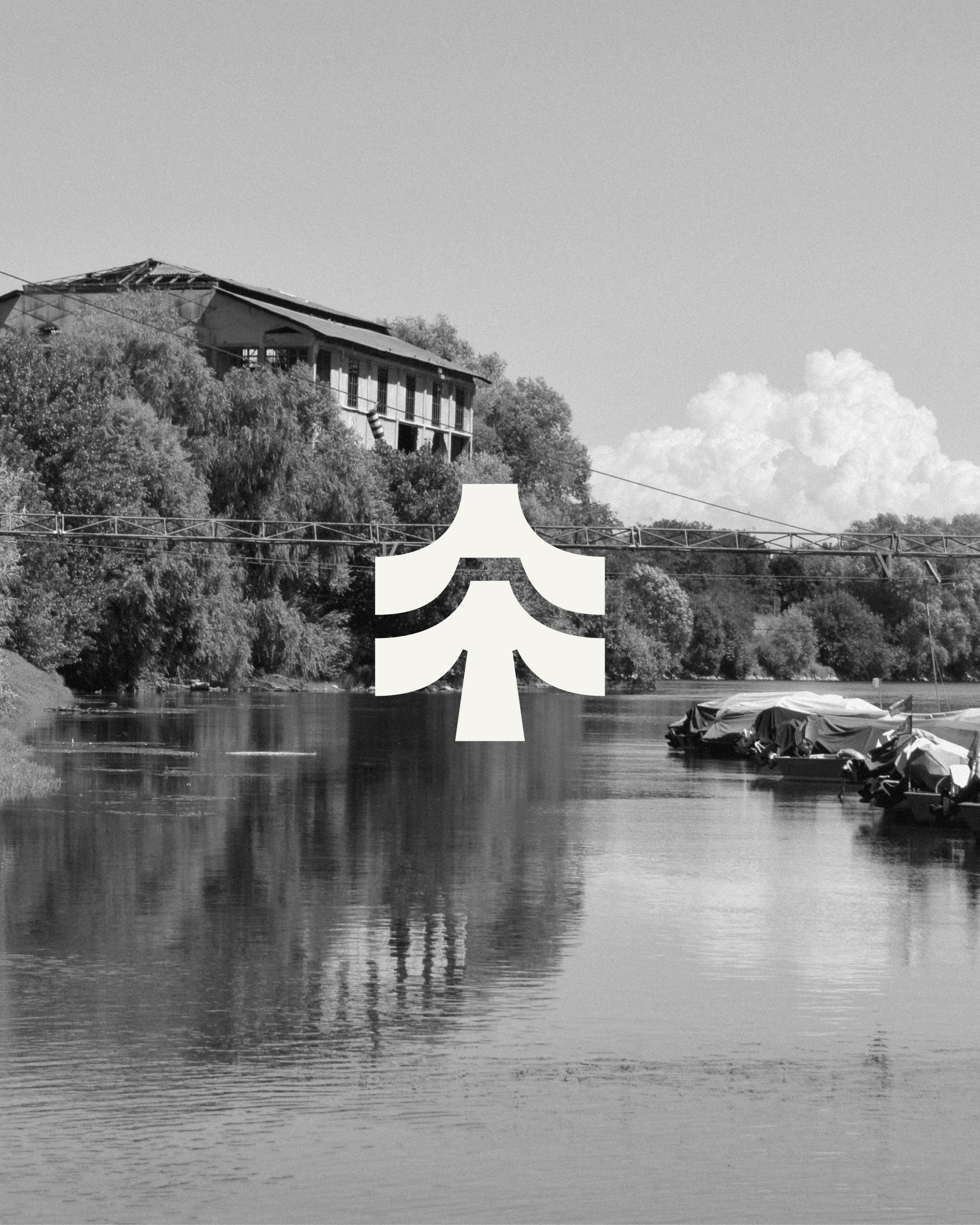 Logo dessiné pour TerraViva